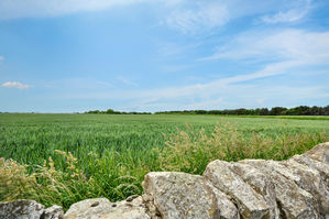 Photo 17- click for photo gallery